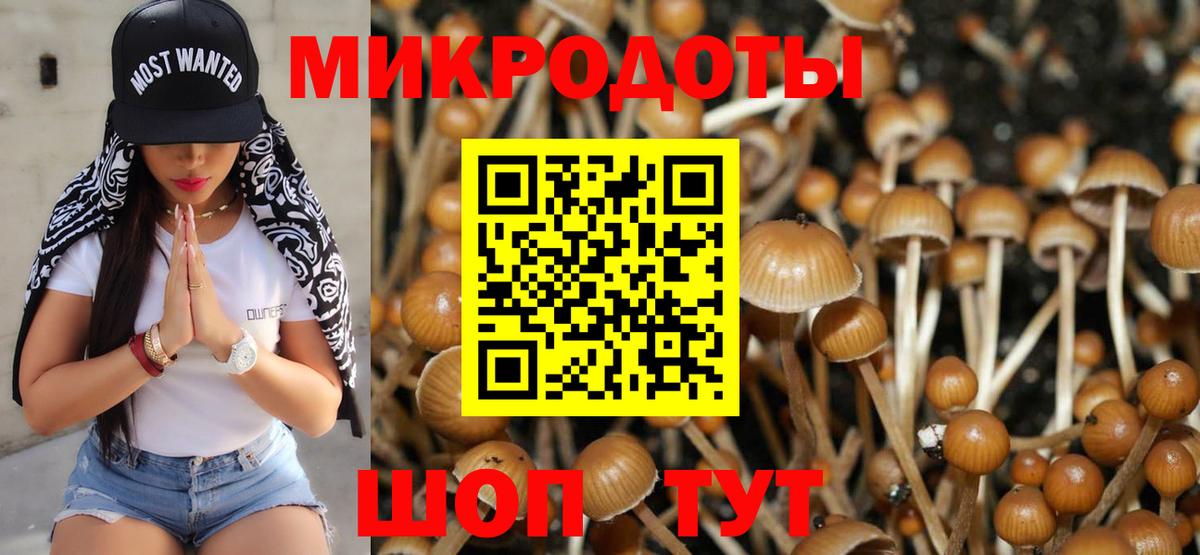 что такое наркотик  Псилоцибиновые грибы Psilocybine cubensis  Вход с VPN  Ржев  Галлюциногенные грибы Psilocybe 